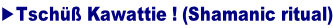 ►Tschüß Kawattie ! (Shamanic ritual)