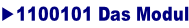 ►1100101 Das Modul